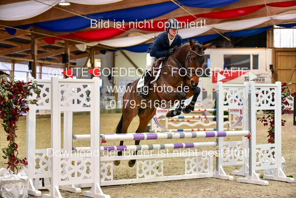 17112020-Springpferde-A--158.jpg