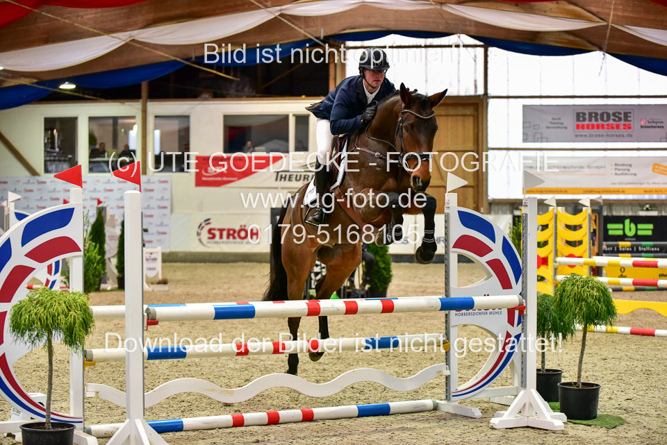 17112020-Springpferde-A--159.jpg