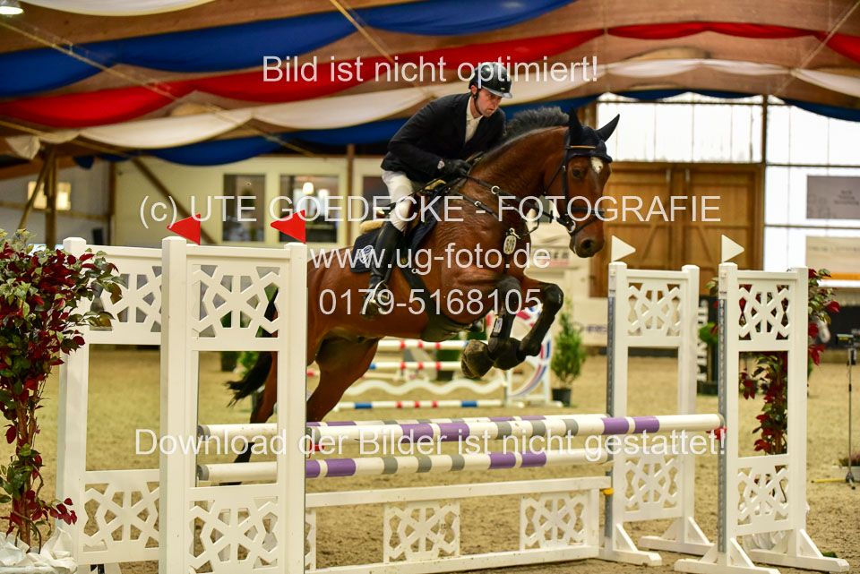 17112020-Springpferde-A--163.jpg