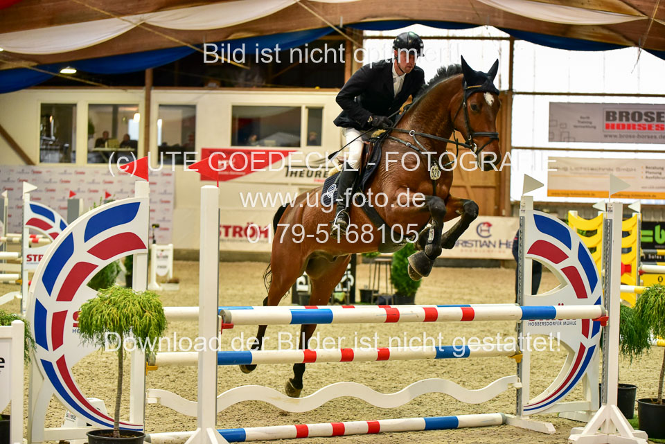 17112020-Springpferde-A--164.jpg