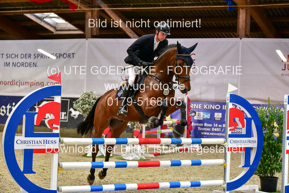 17112020-Springpferde-A--165.jpg