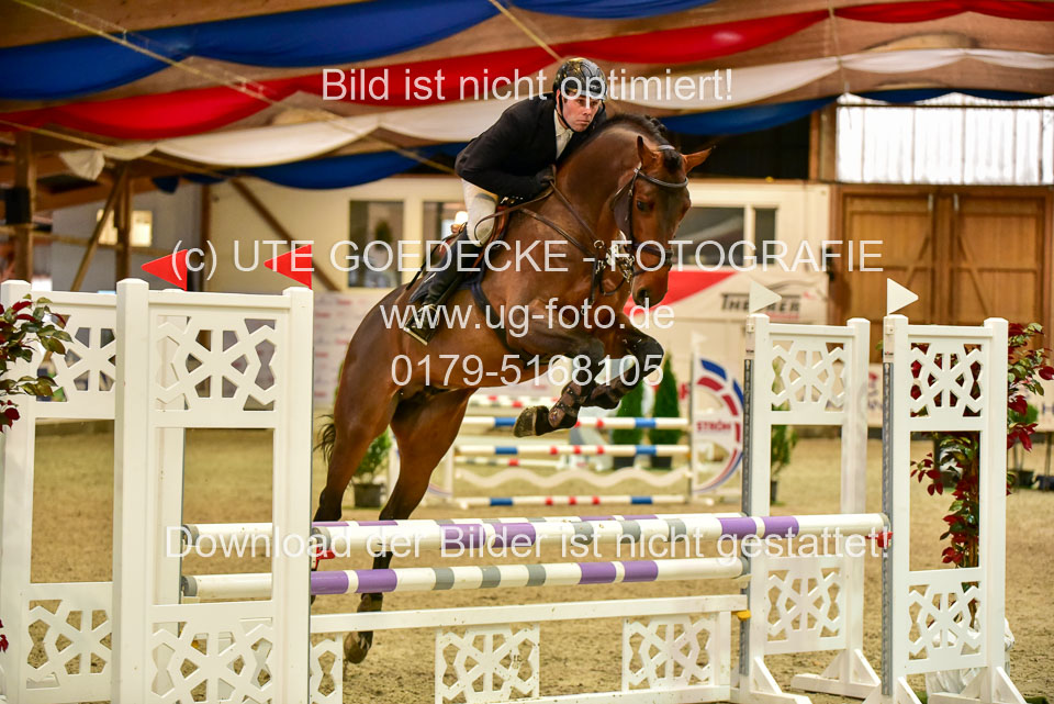 17112020-Springpferde-A--166.jpg