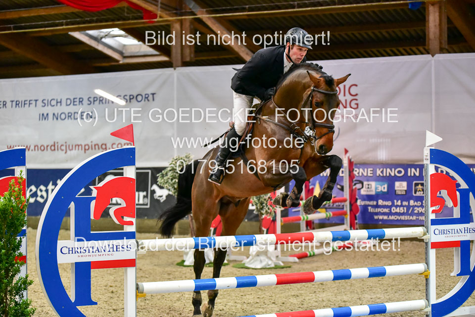 17112020-Springpferde-A--168.jpg