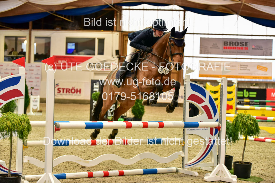 17112020-Springpferde-A--169.jpg