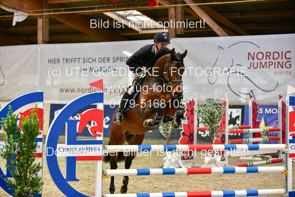 17112020-Springpferde-A--17.jpg