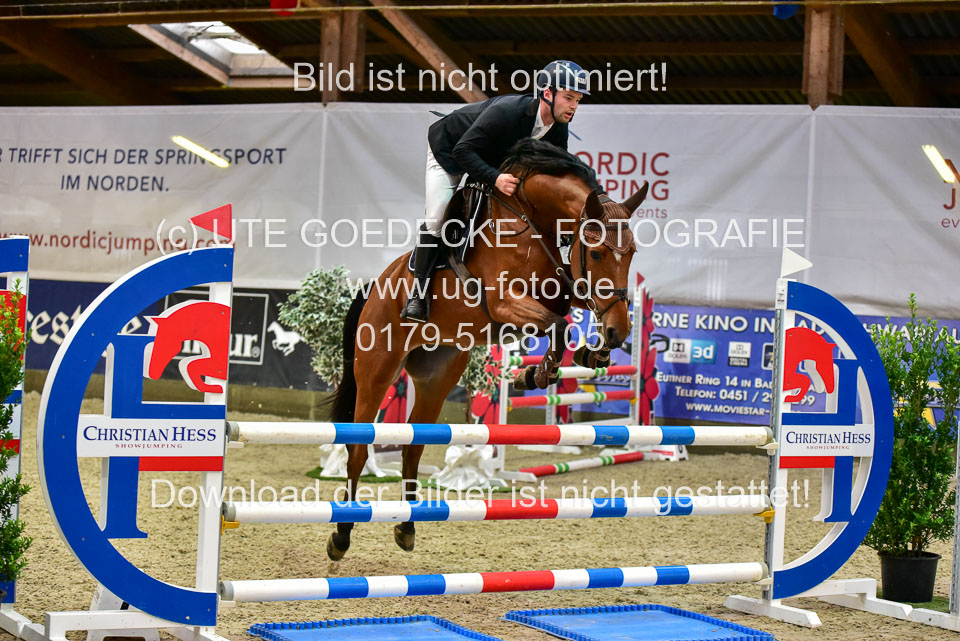 17112020-Springpferde-A--171.jpg