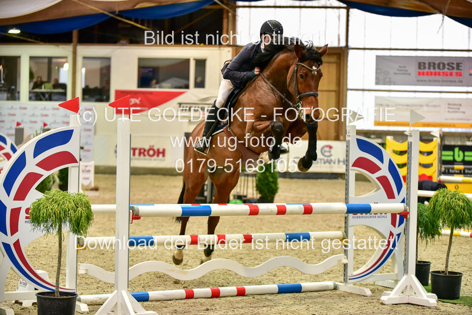 17112020-Springpferde-A--173.jpg