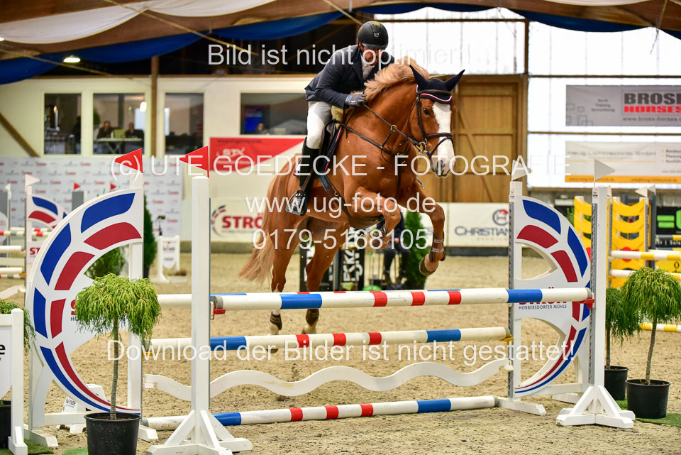 17112020-Springpferde-A--174.jpg