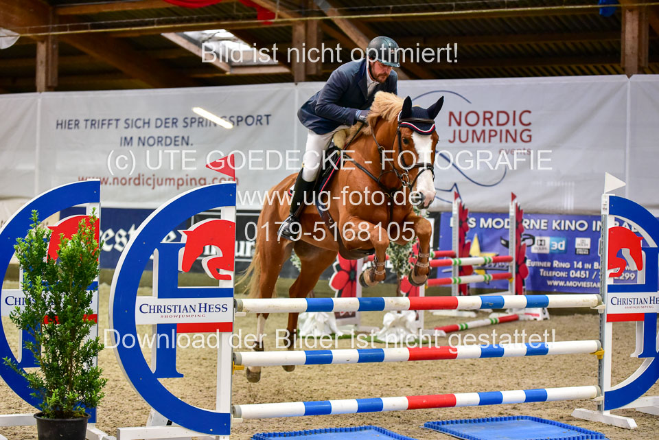 17112020-Springpferde-A--175.jpg