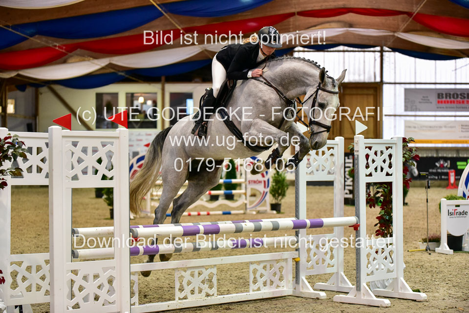 17112020-Springpferde-A--176.jpg