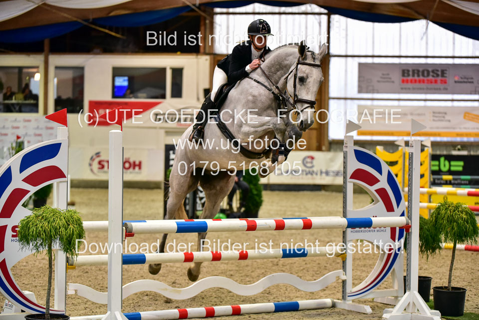 17112020-Springpferde-A--177.jpg