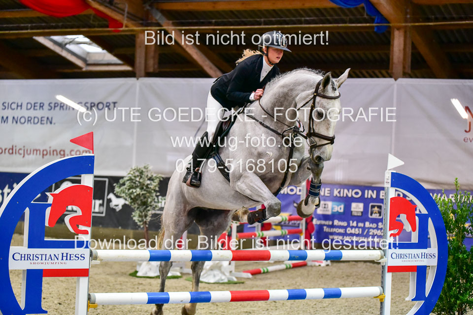 17112020-Springpferde-A--178.jpg