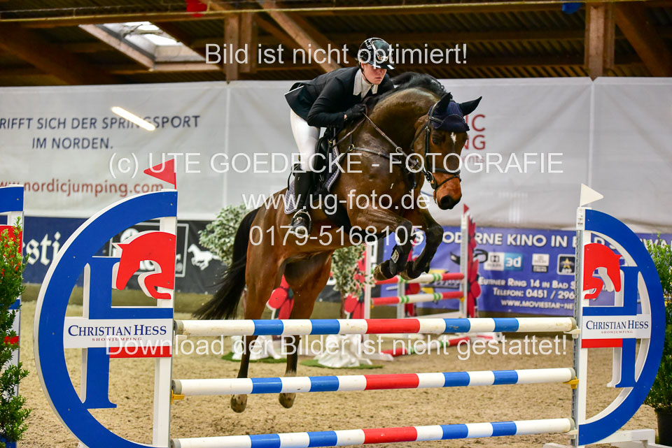 17112020-Springpferde-A--181.jpg