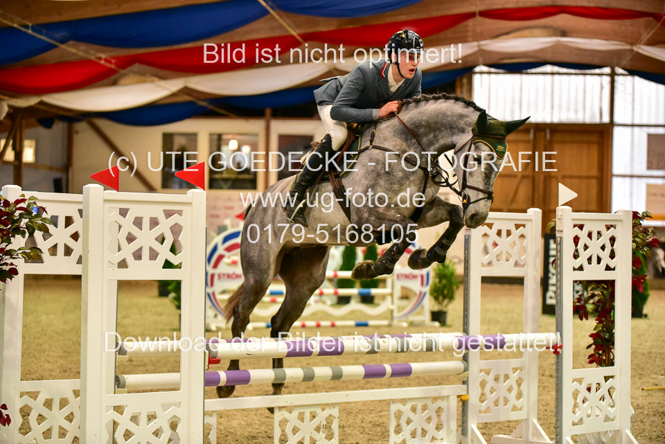 17112020-Springpferde-A--182.jpg