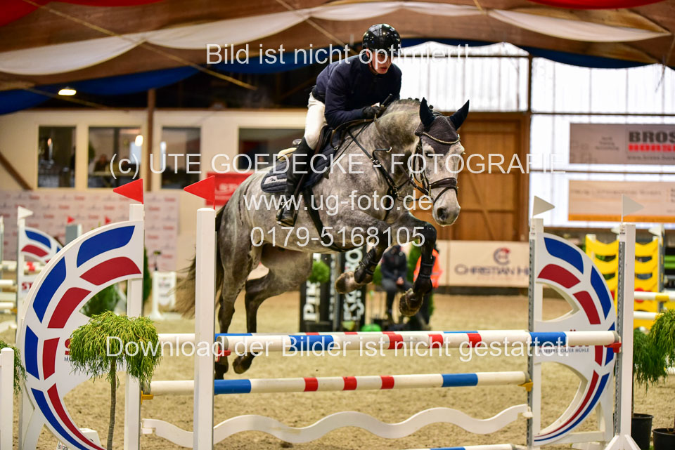17112020-Springpferde-A--183.jpg