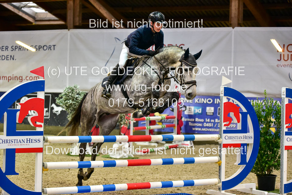 17112020-Springpferde-A--184.jpg