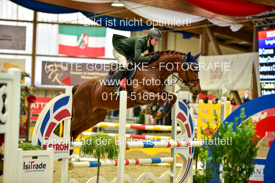 17112020-Springpferde-A--23.jpg