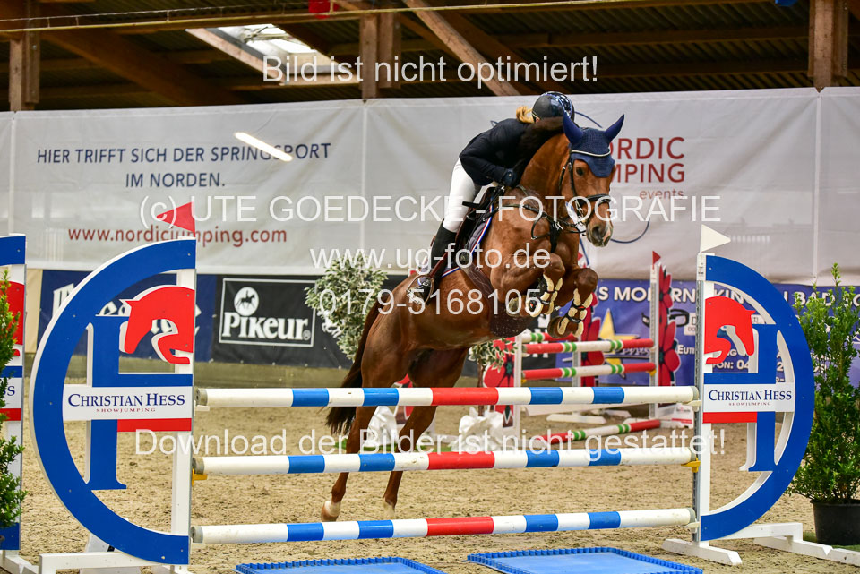 17112020-Springpferde-A--27.jpg