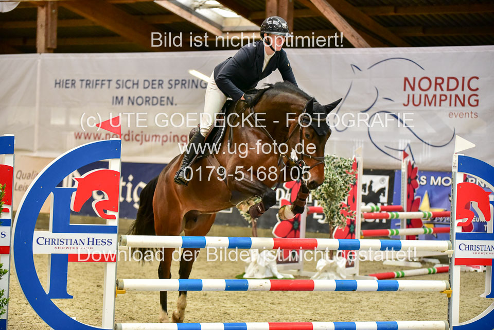 17112020-Springpferde-A--32.jpg