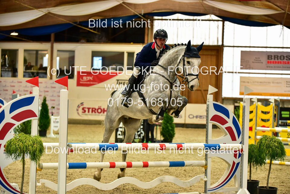 17112020-Springpferde-A--38.jpg