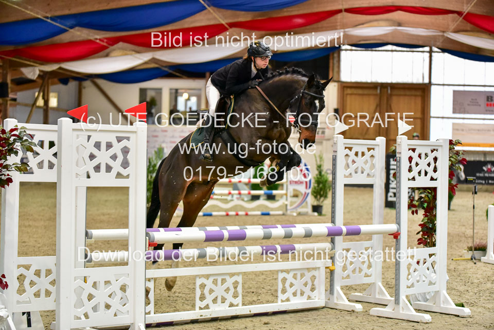 17112020-Springpferde-A--39.jpg