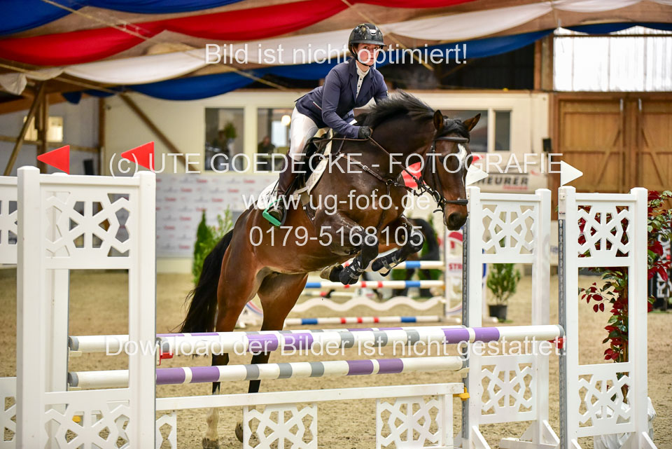 17112020-Springpferde-A--44.jpg