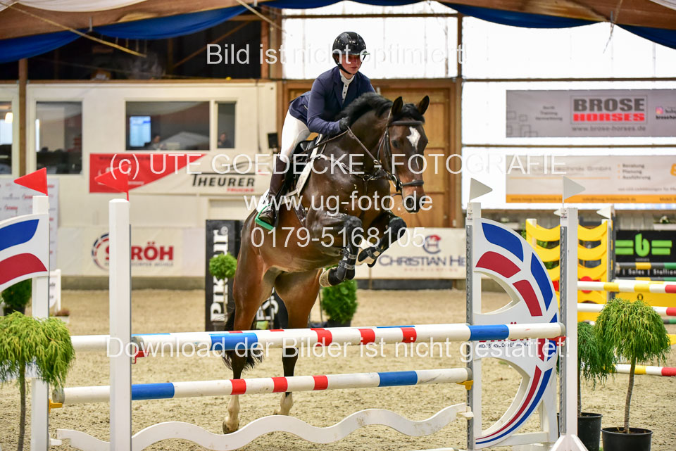 17112020-Springpferde-A--45.jpg