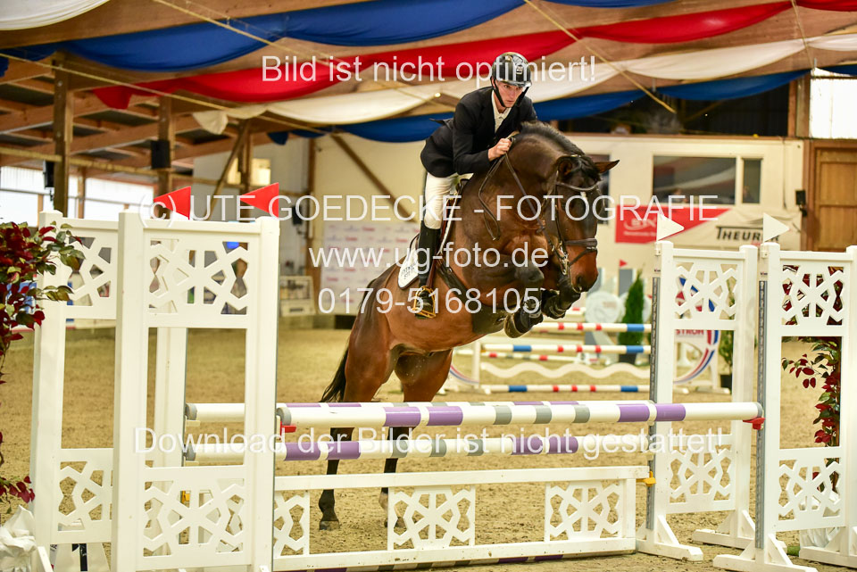 17112020-Springpferde-A--47.jpg