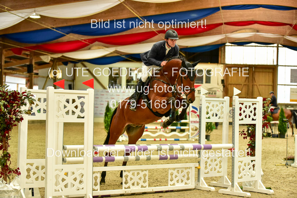 17112020-Springpferde-A--52.jpg