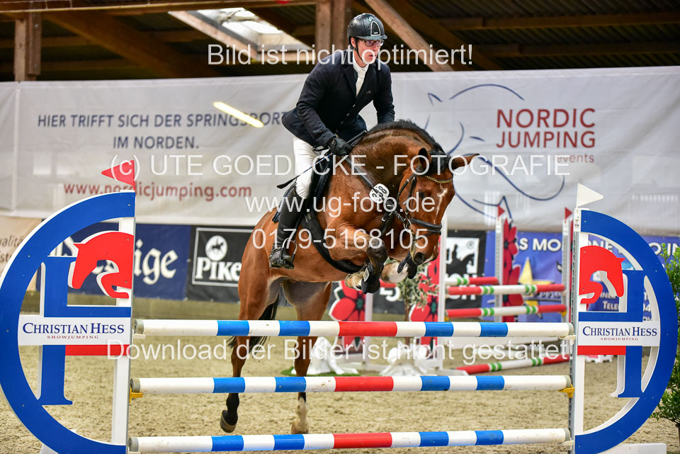 17112020-Springpferde-A--57.jpg