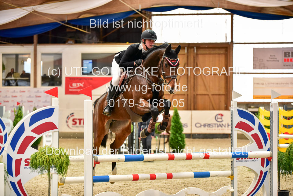17112020-Springpferde-A--58.jpg