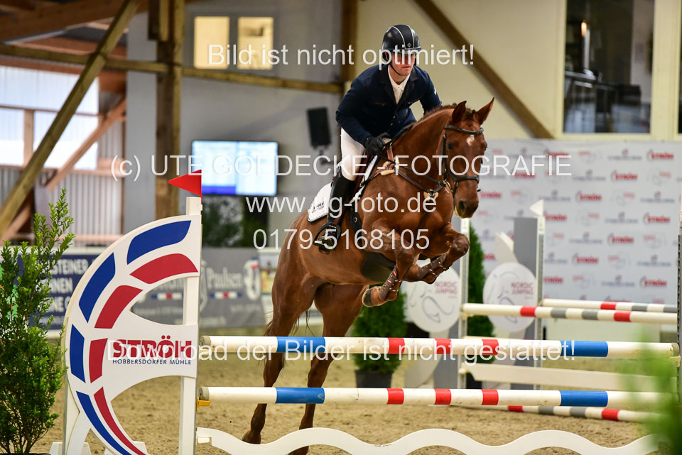 17112020-Springpferde-A--60.jpg