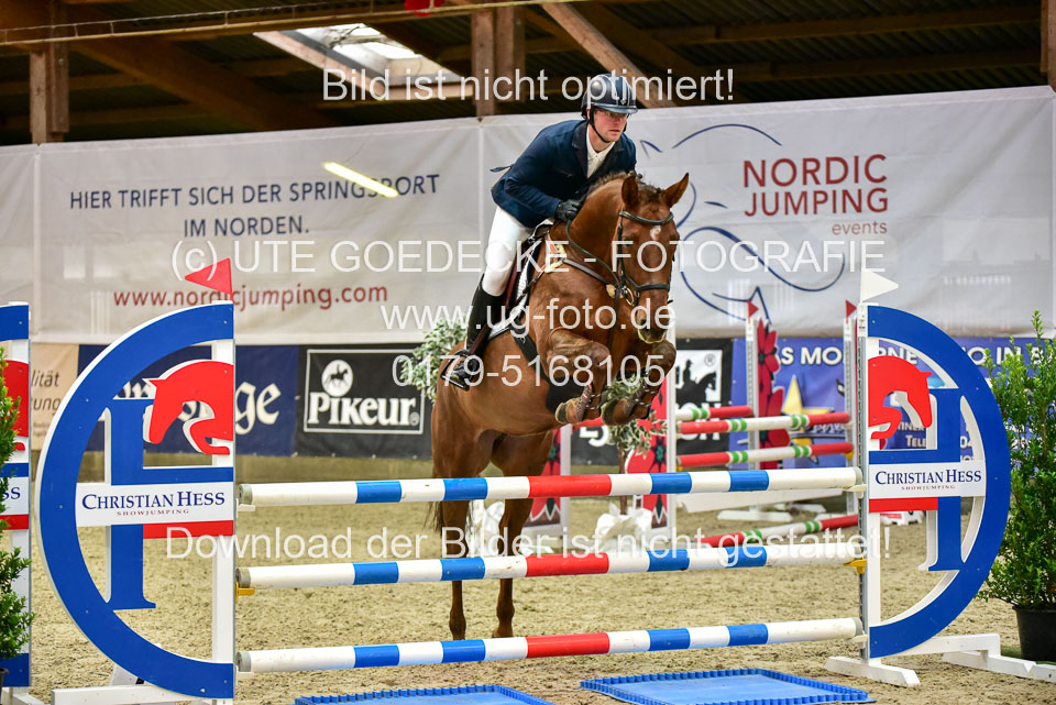 17112020-Springpferde-A--61.jpg