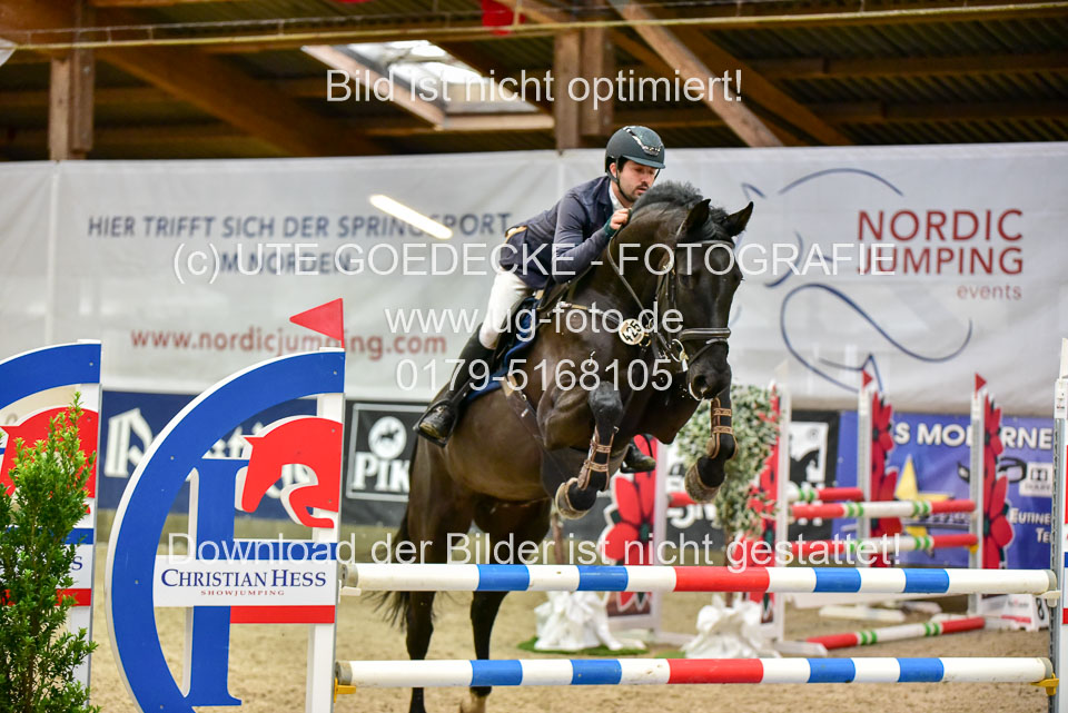 17112020-Springpferde-A--70.jpg