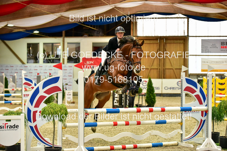 17112020-Springpferde-A--71.jpg