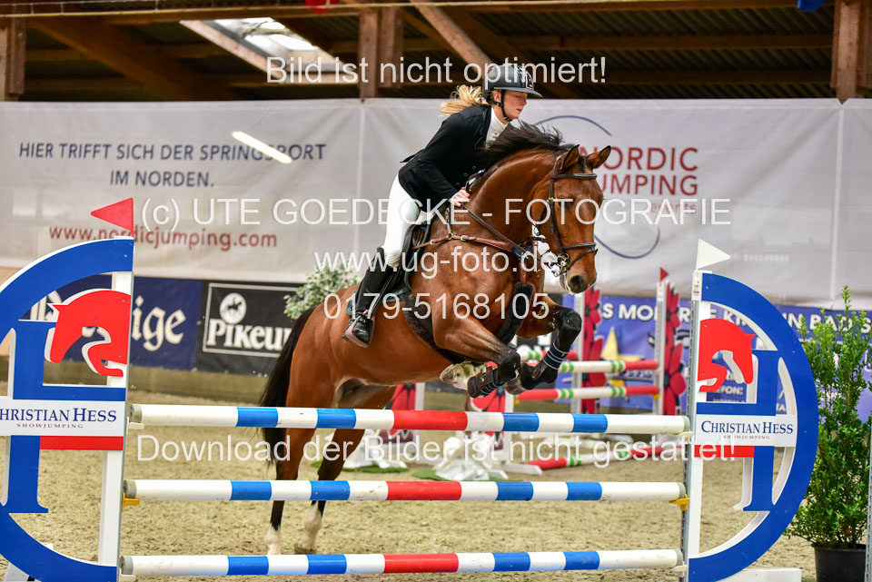 17112020-Springpferde-A--72.jpg