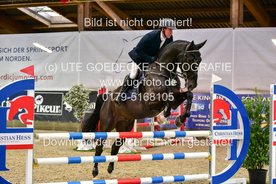 17112020-Springpferde-A--74.jpg