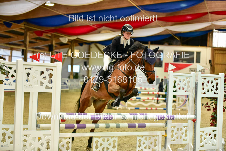 17112020-Springpferde-A--75.jpg