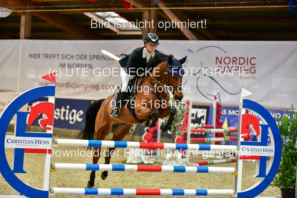17112020-Springpferde-A--76.jpg