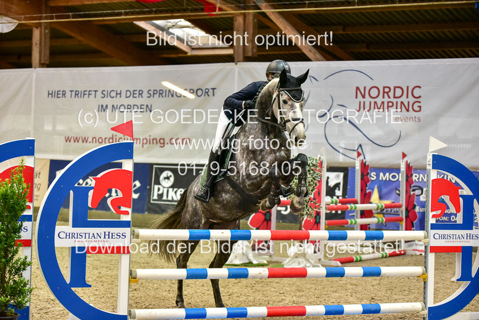 17112020-Springpferde-A--81.jpg