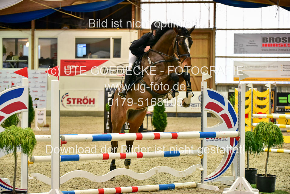 17112020-Springpferde-A--84.jpg