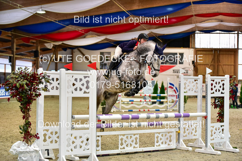 17112020-Springpferde-A--86.jpg