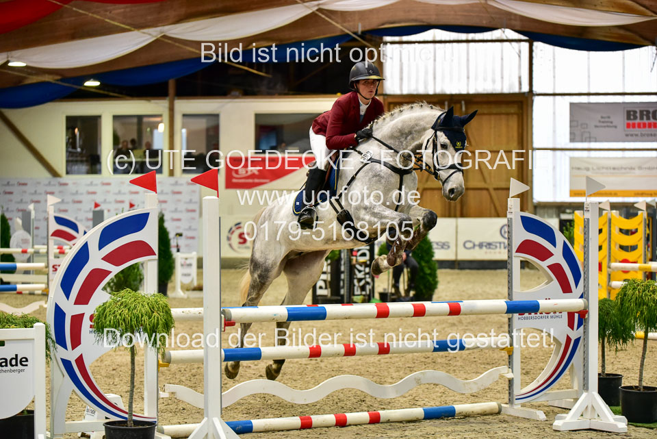 17112020-Springpferde-A--93.jpg