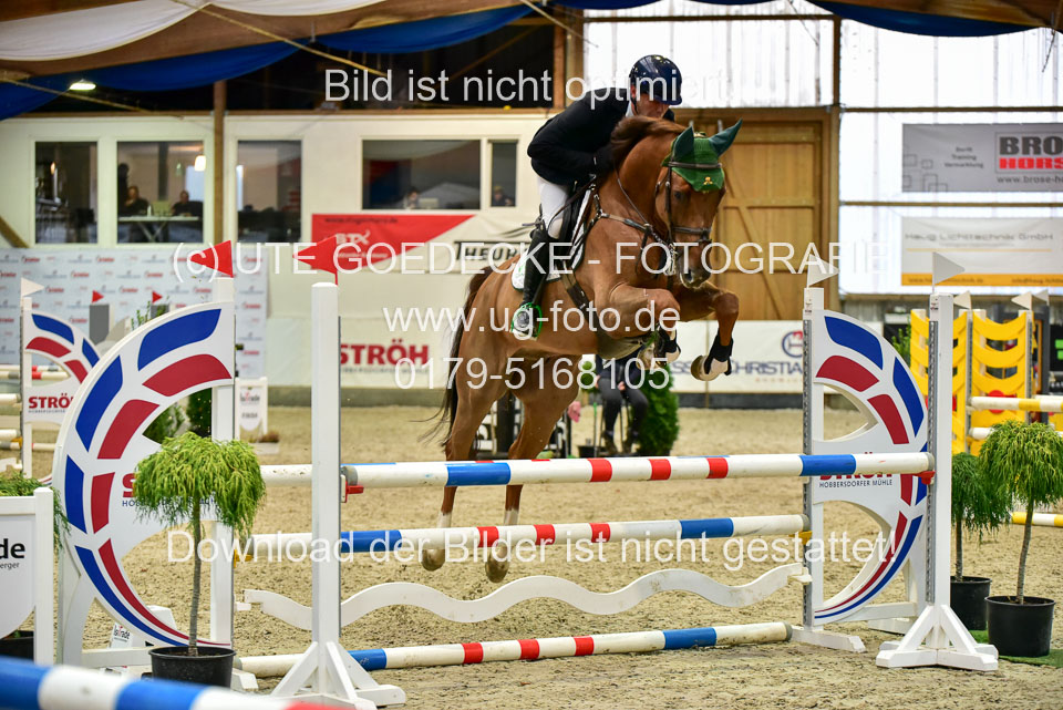 17112020-Springpferde-A--95.jpg