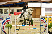 17112020-Springpferde-A--101.jpg