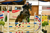 17112020-Springpferde-A--111.jpg
