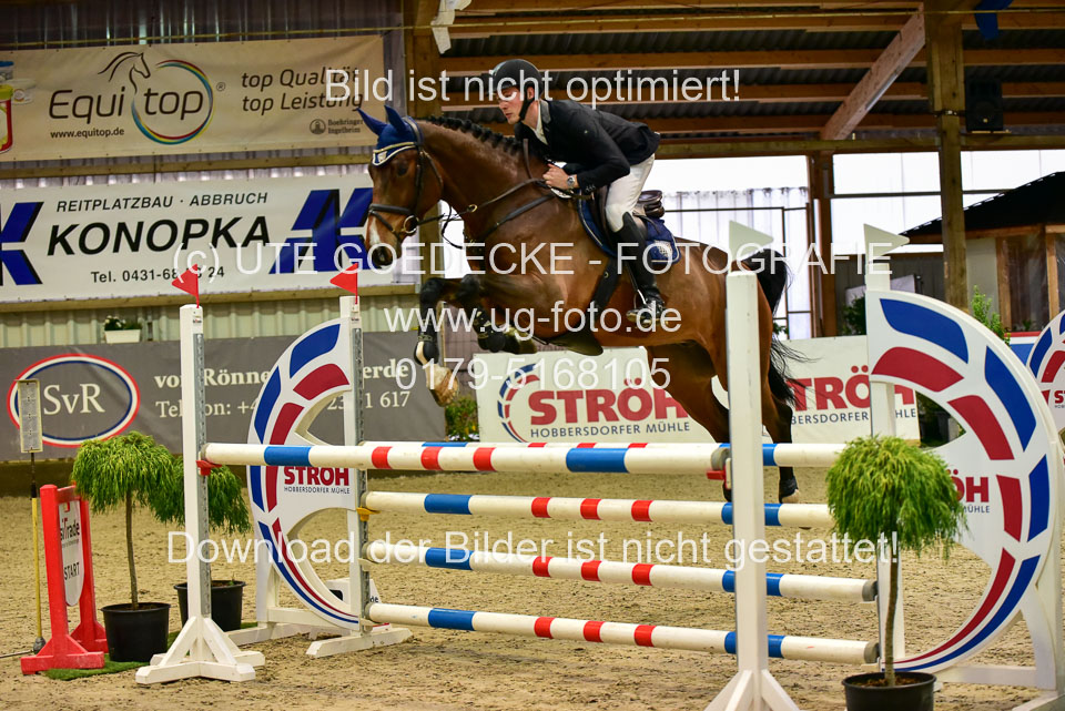 17112020-Springpferde-L-1.jpg