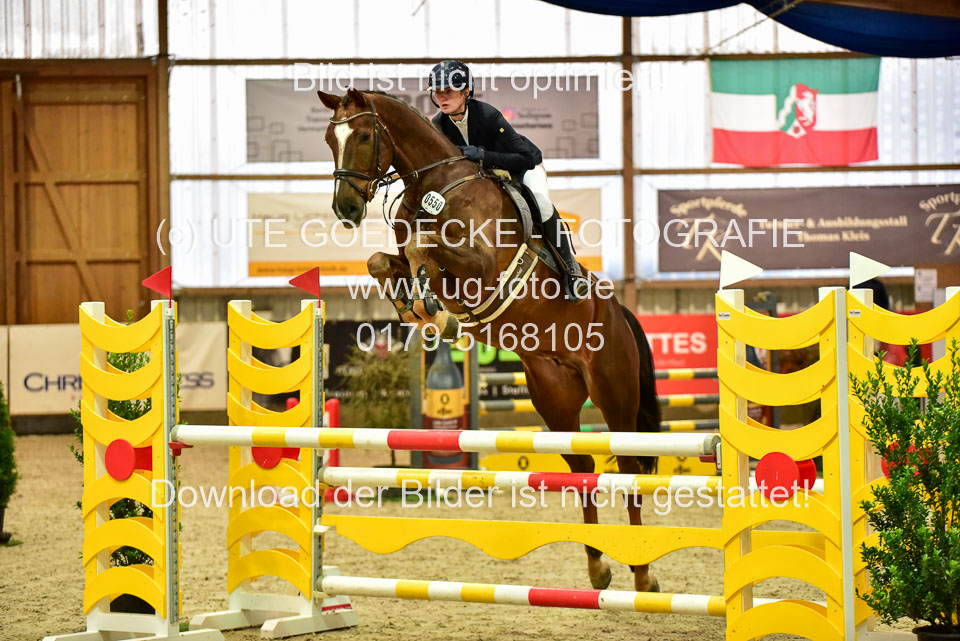 17112020-Springpferde-L-10.jpg