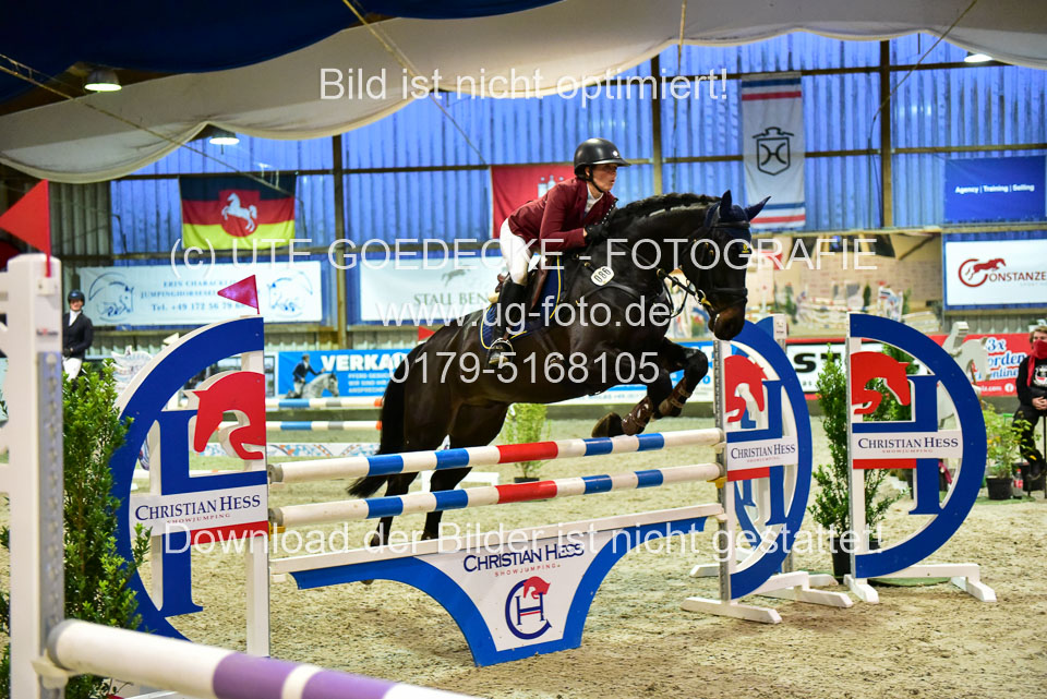 17112020-Springpferde-L-107.jpg