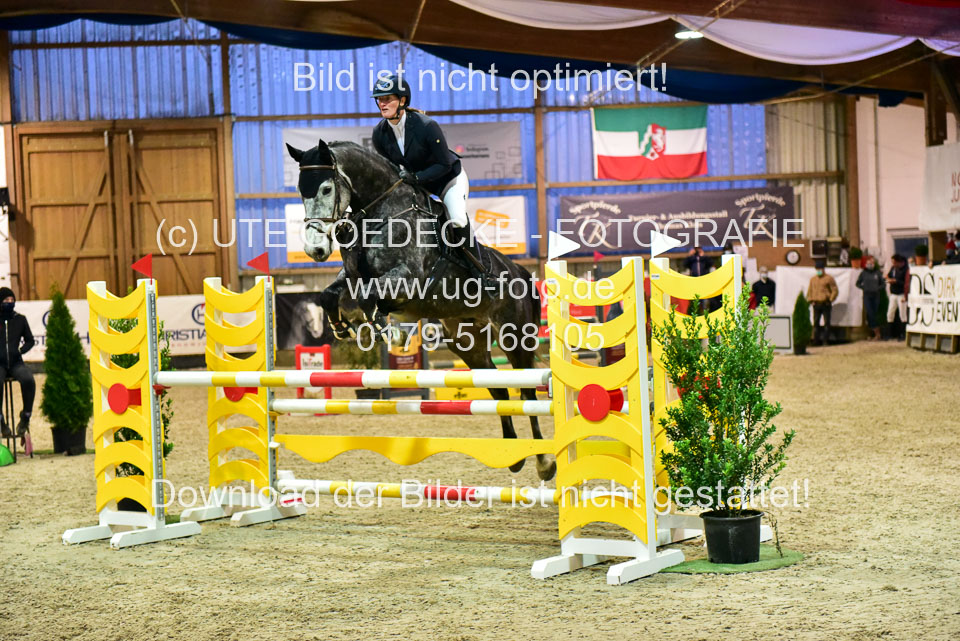 17112020-Springpferde-L-109.jpg